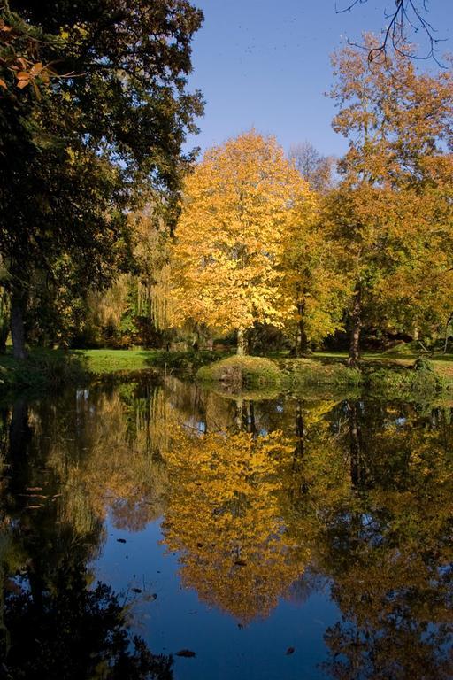 Manoir Du Plessix Meen Pluduno Екстер'єр фото
